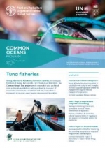 Common Oceans Program - Tuna fisheries